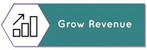 Grow Revenue